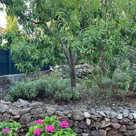 Barby Apartament Malinska